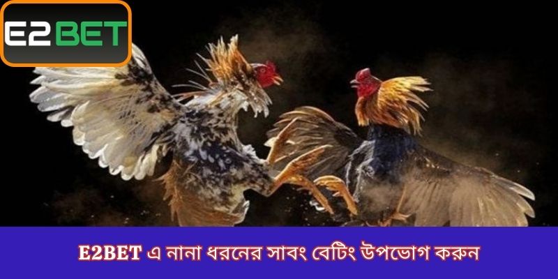 E2Bet এ নানা ধরনের সাবং বেটিং উপভোগ করুন