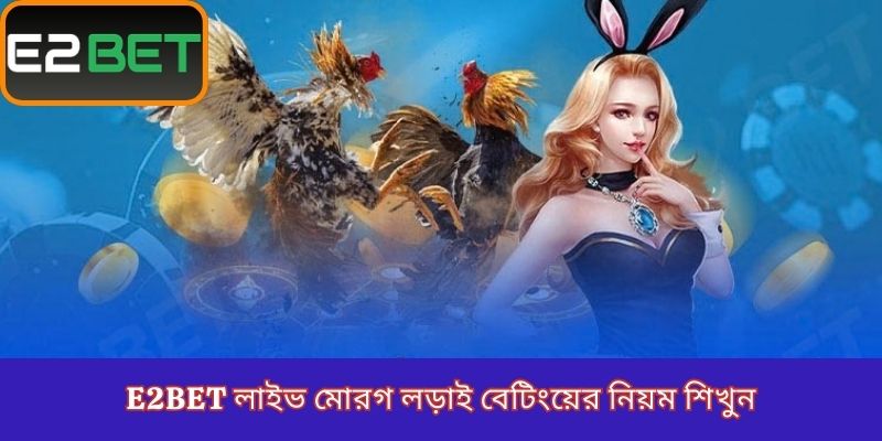 E2Bet লাইভ মোরগ লড়াই বেটিংয়ের নিয়ম শিখুন